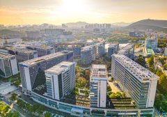 正在“十五五局之年